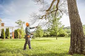 Best Lawn Renovation and Restoration  in Millville, UT